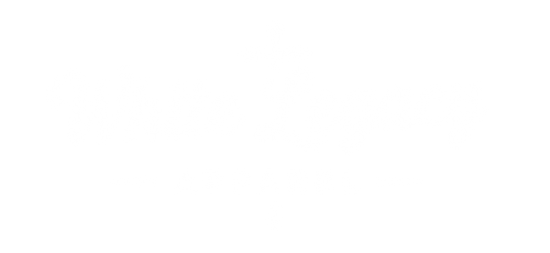 Product image with a clear background